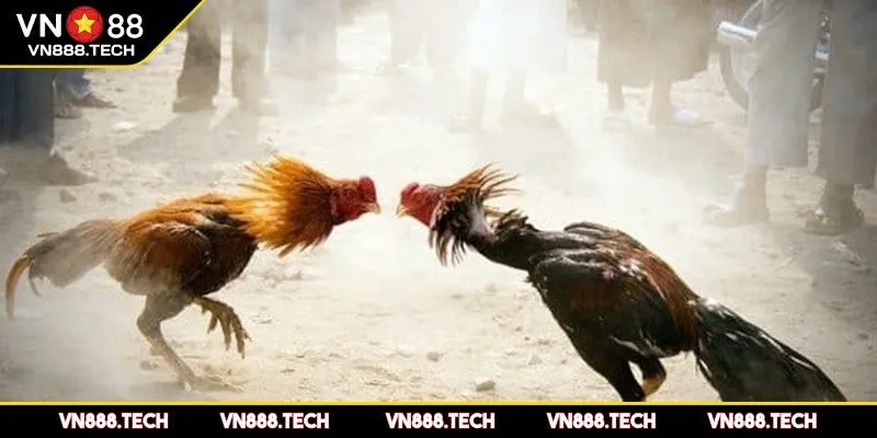 Bí quyết thắng lớn